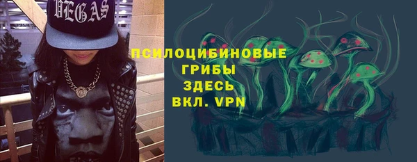 гашик Каменка