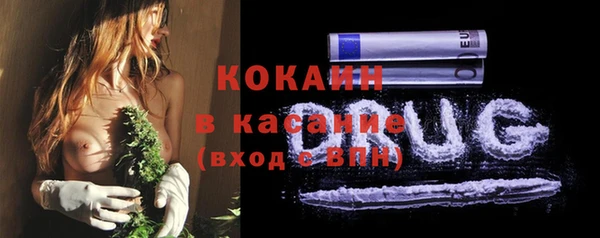 гашик Каменка