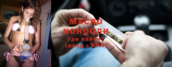 гашик Каменка