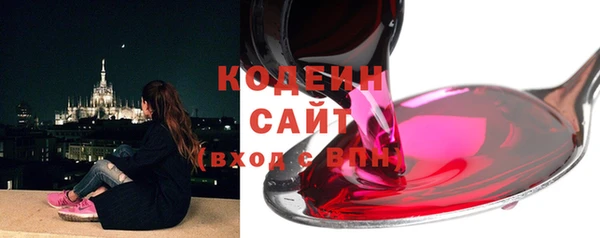 гашик Каменка
