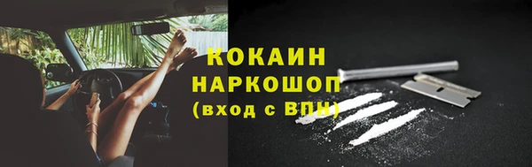 гашик Каменка