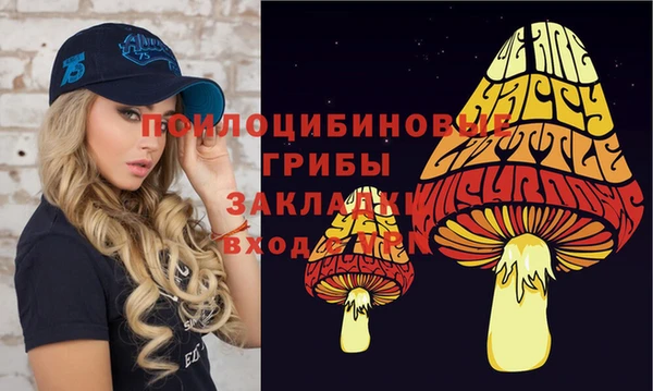 гашик Каменка