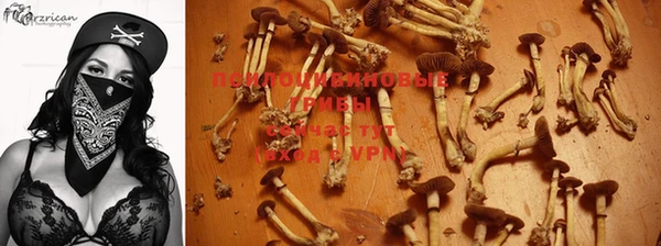гашик Каменка