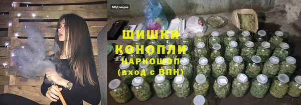гашик Каменка