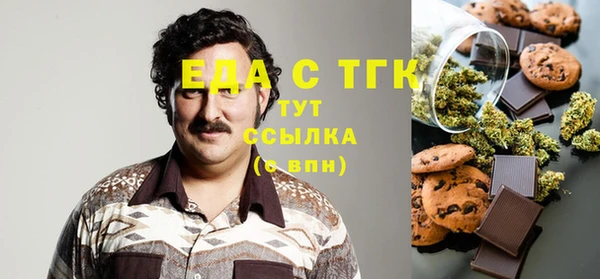 гашик Каменка