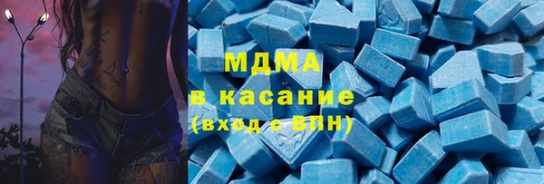 гашик Каменка