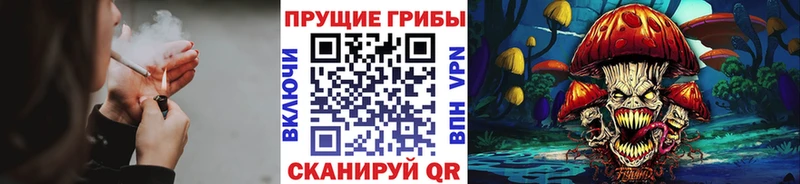 Галлюциногенные грибы ЛСД  Купить закладки  Ишимбай 